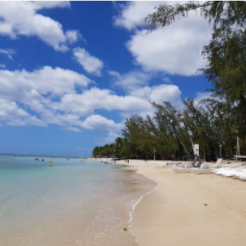 Mauritius and its talented artisans