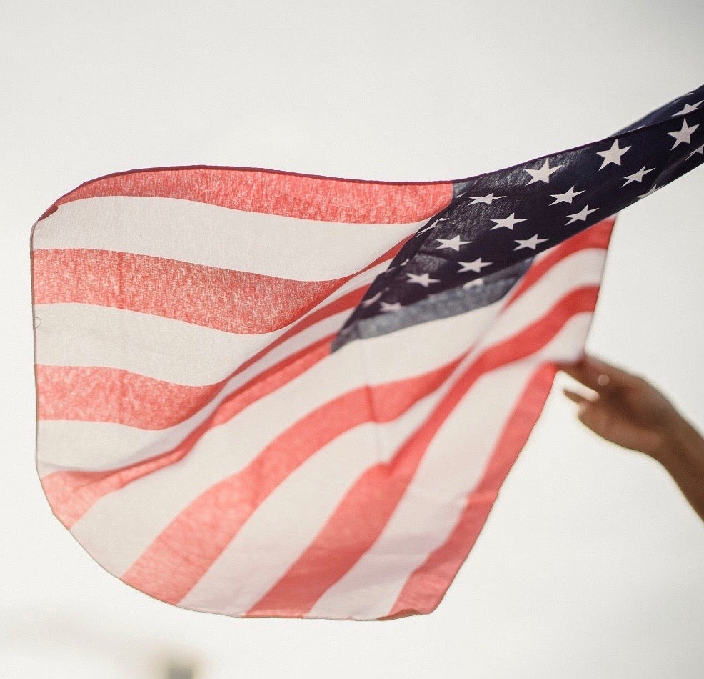 Celebrating 4th of July in eco-fun way - GoodsAgain