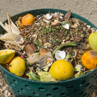 7 reasons why composting is a great choice