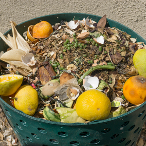 7 reasons why composting is a great choice