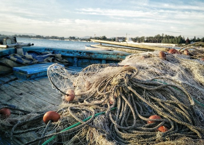 Ghost gear in oceans